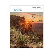 AA Phoenix Poster