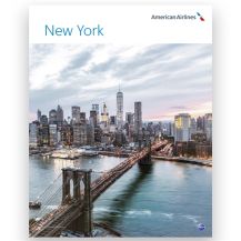 OOS AA New York Poster