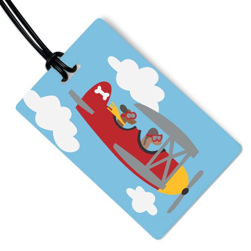 Colorful Tags Dogs in Plane